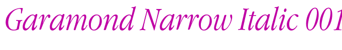 Garamond Narrow Italic 001.022